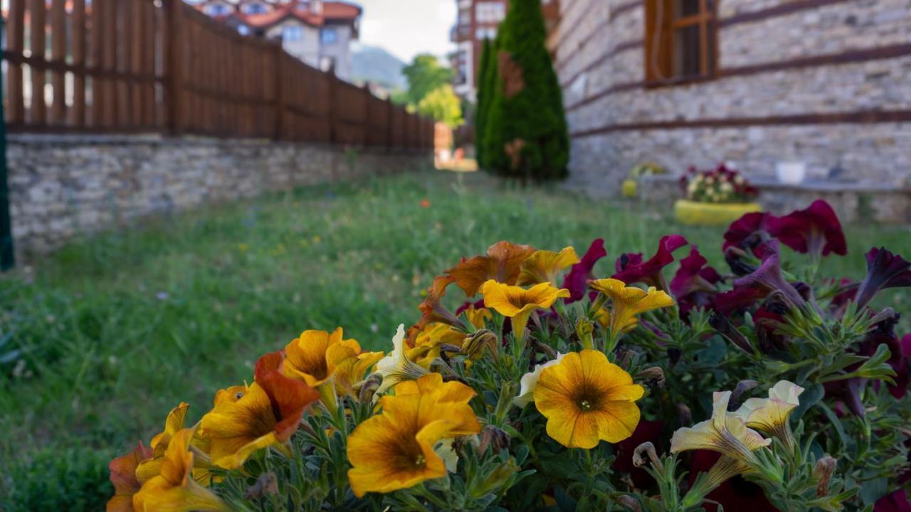 Two Bedroom Apartments In Murphys Lodge Bansko Dış mekan fotoğraf